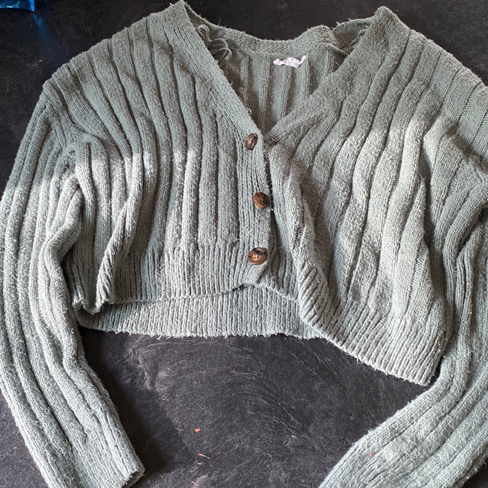Sage green cropped sweater